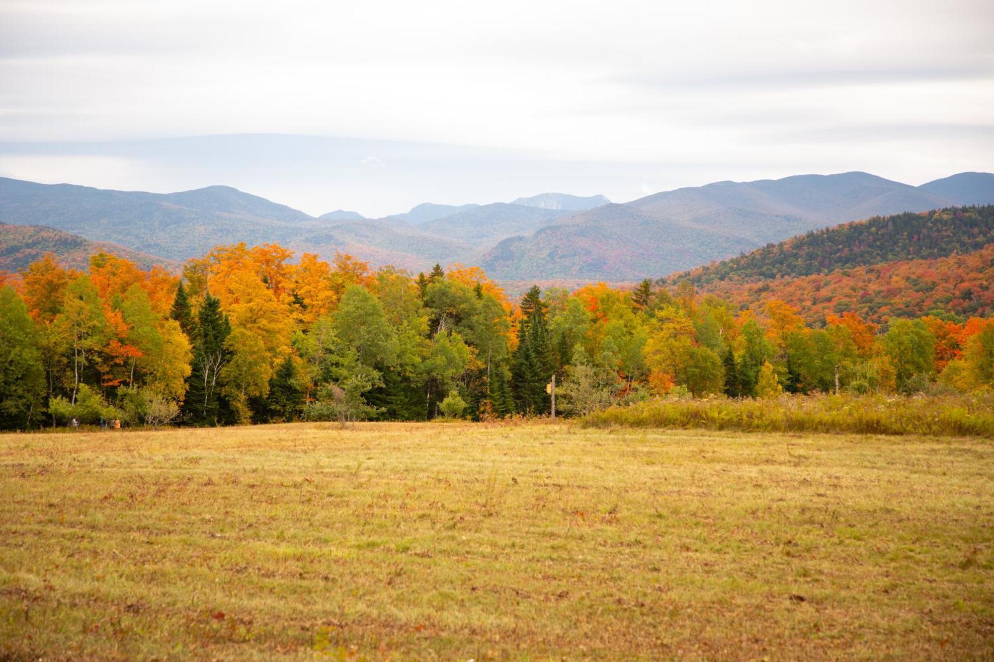 Lake Placid Inn: Residences 외부 사진